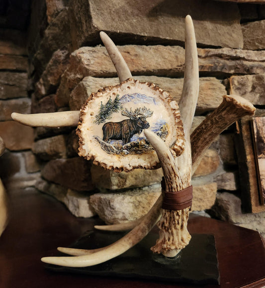 Carved and painted Moose on a Elk antler burr